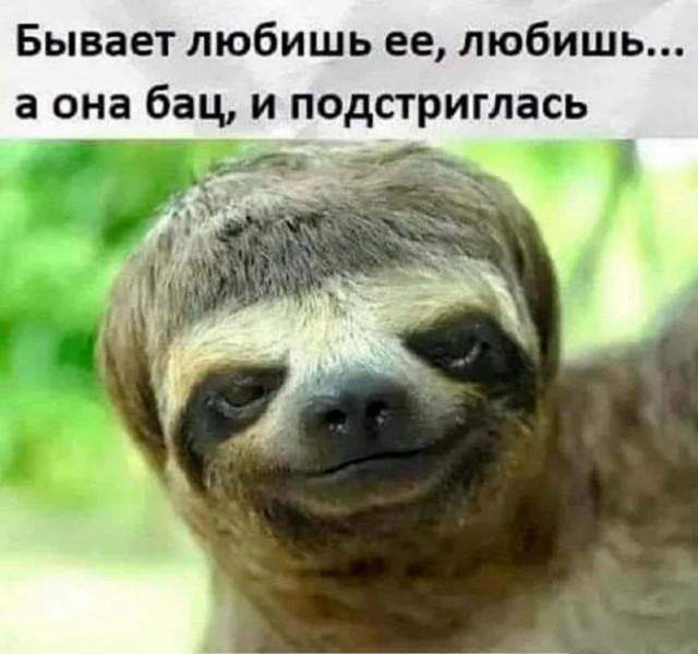 Веселые картинки