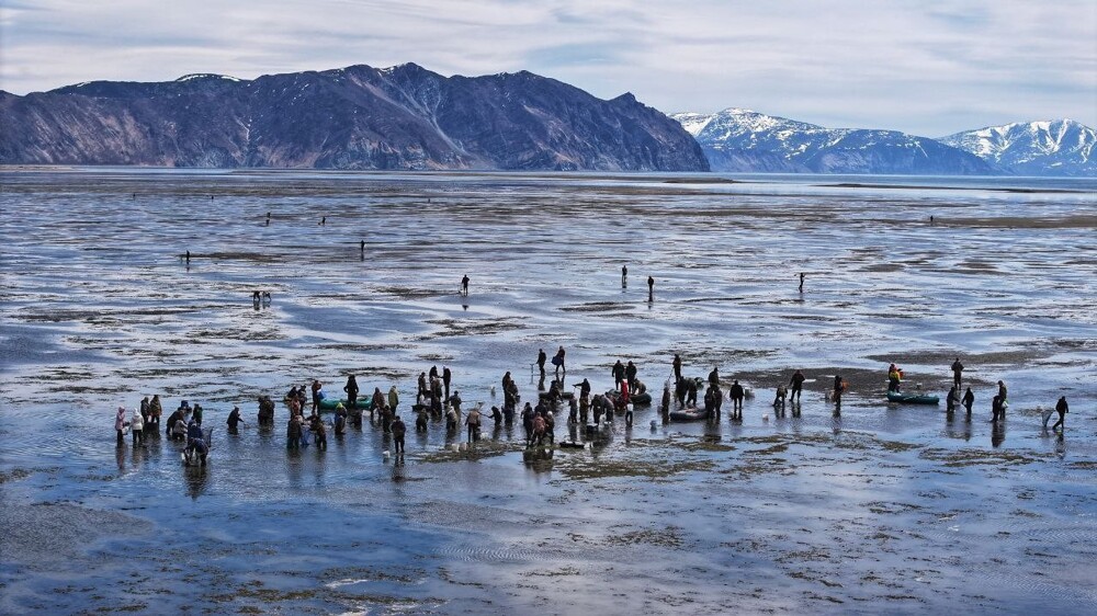 В Магадане рыбаки обнаружили в камбале неизвестное существо