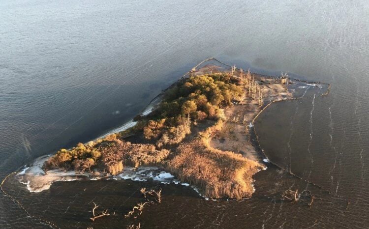 Остров на котором живут обезьяны. Остров Моргана с высоты птичьего полета. Источник изображения: igrosam.ru. Фото.