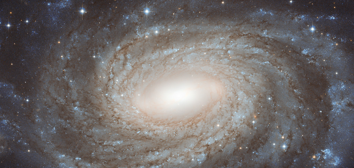 Галактика NGC 6384: спираль за звездами