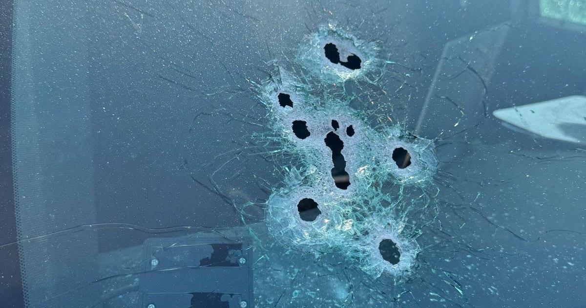 Мужик из Флориды подрался с аллигатором и был застрелен полицейскими