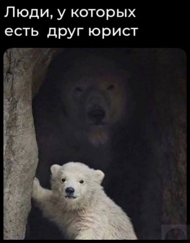 Лучшие шутки и мемы из Сети - 18.06.2025