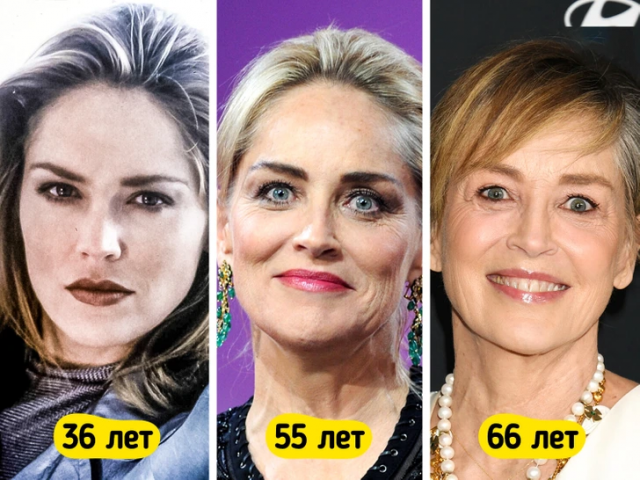 Шэрон Стоун в 36, 55 и 66 лет