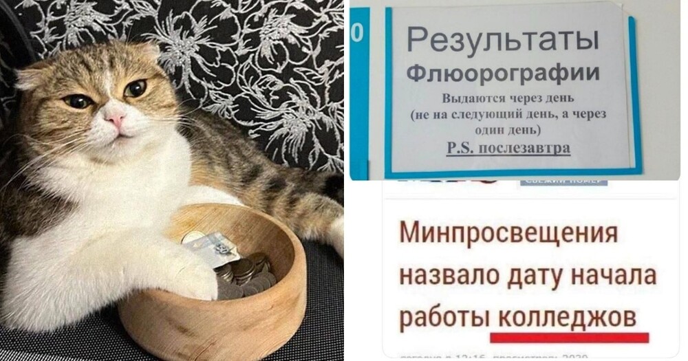 Мероприятель и клюкало: и опять каламбуры и лингвошутки