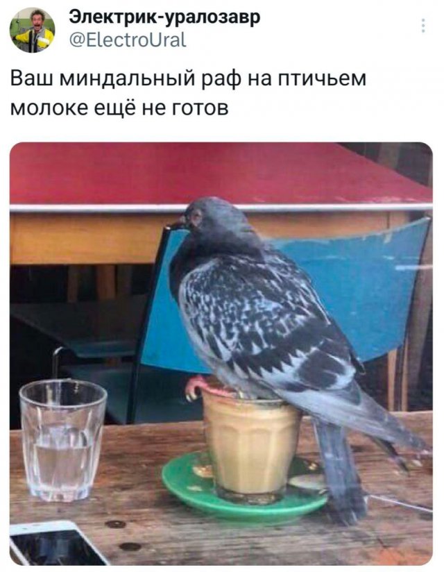 Подборка забавных твитов обо всем