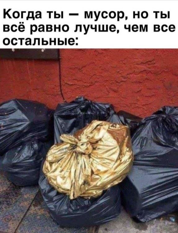 Смешные картинки - 10.09.2025