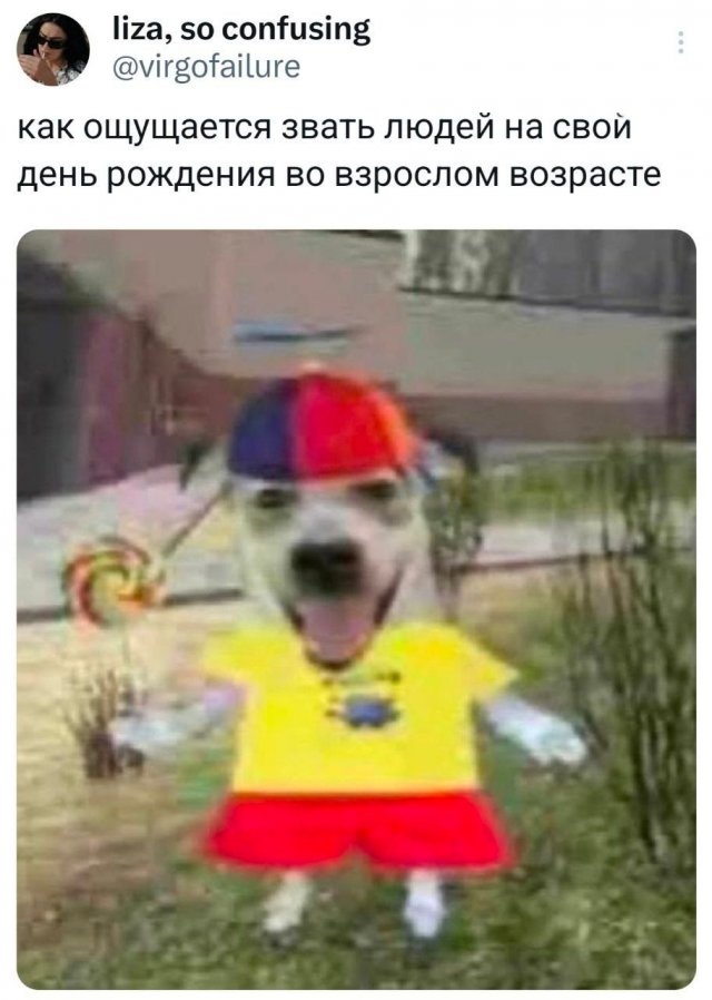 Подборка забавных твитов обо всем