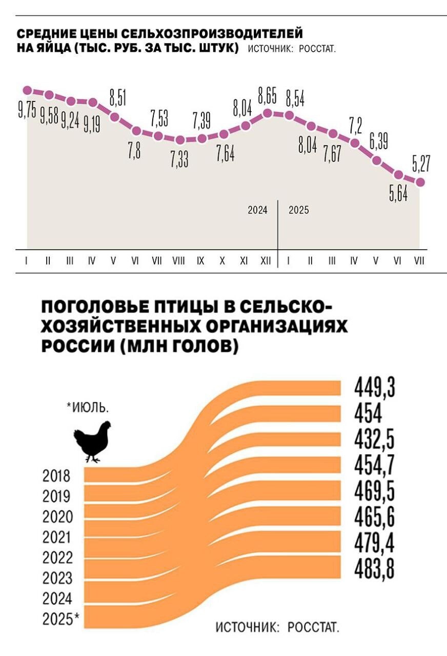 Новый кризис бушует на российском рынке яиц