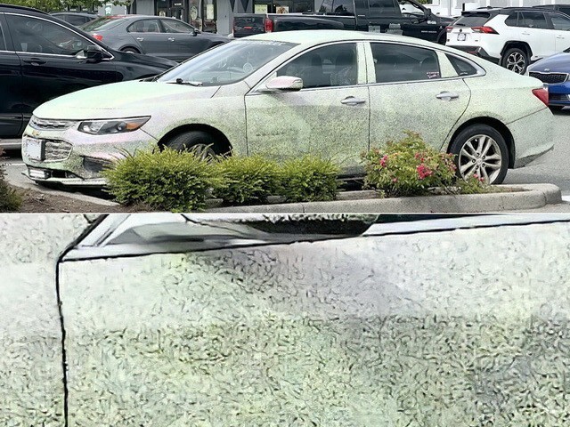 АвтоВсячина