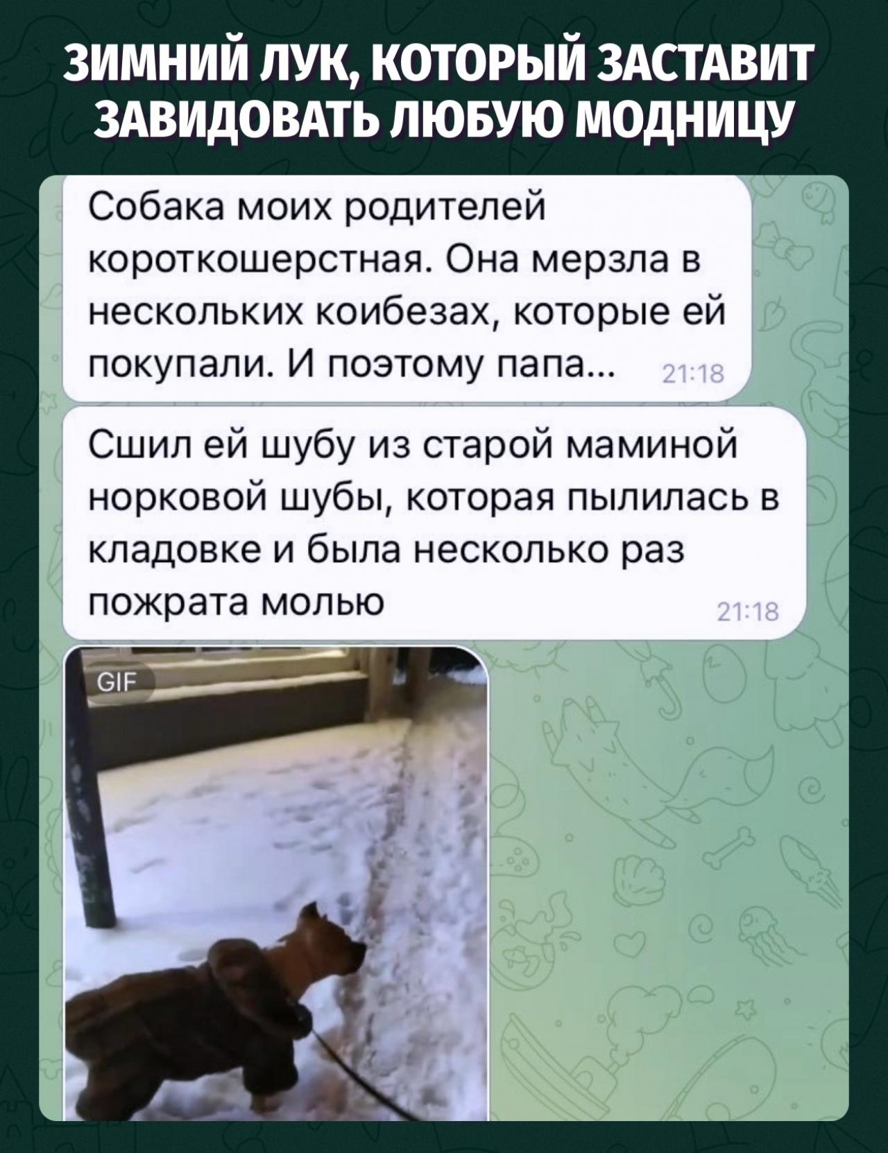 В этой шубе даже «Гав» звучит, как «Мадам, не затруднит ли?»⁠⁠