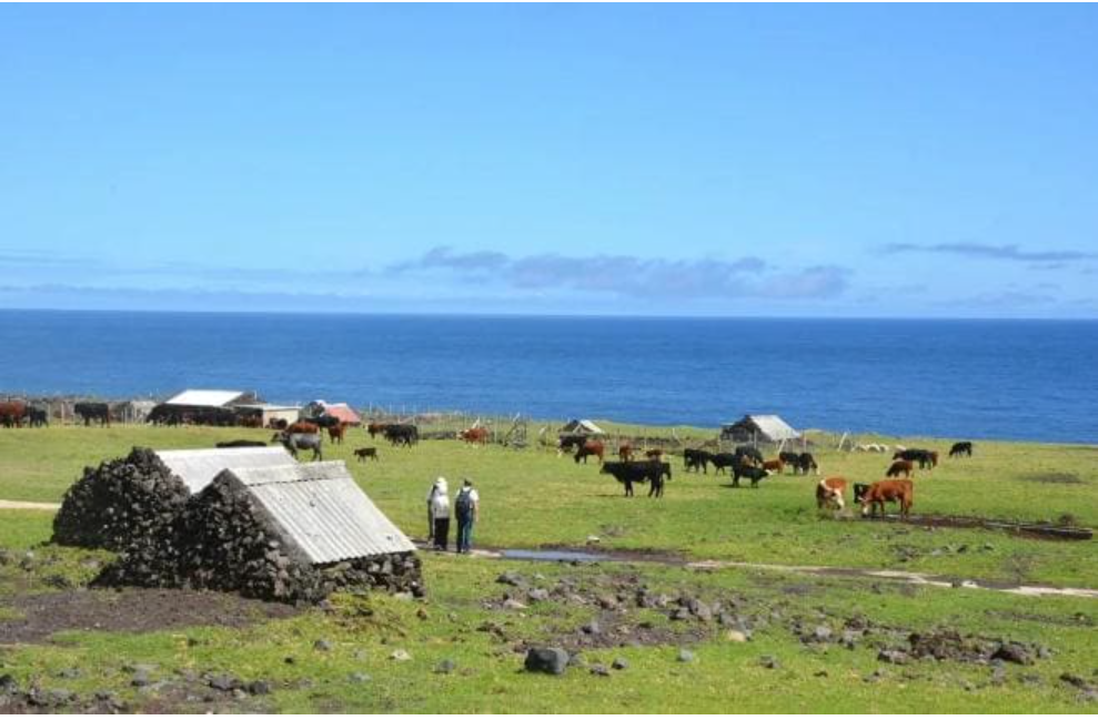 Остров-затворник: место, где люди живут вдали от всей цивилизации Остров-затворник: место, где люди живут вдали от всей цивилизации