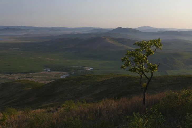 Источник: пресс-служба нацпарка «Земля леопарда»