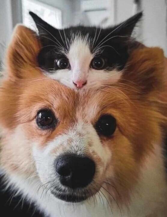 Фото настроение