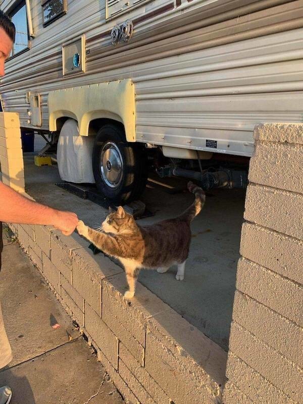 Фото настроение