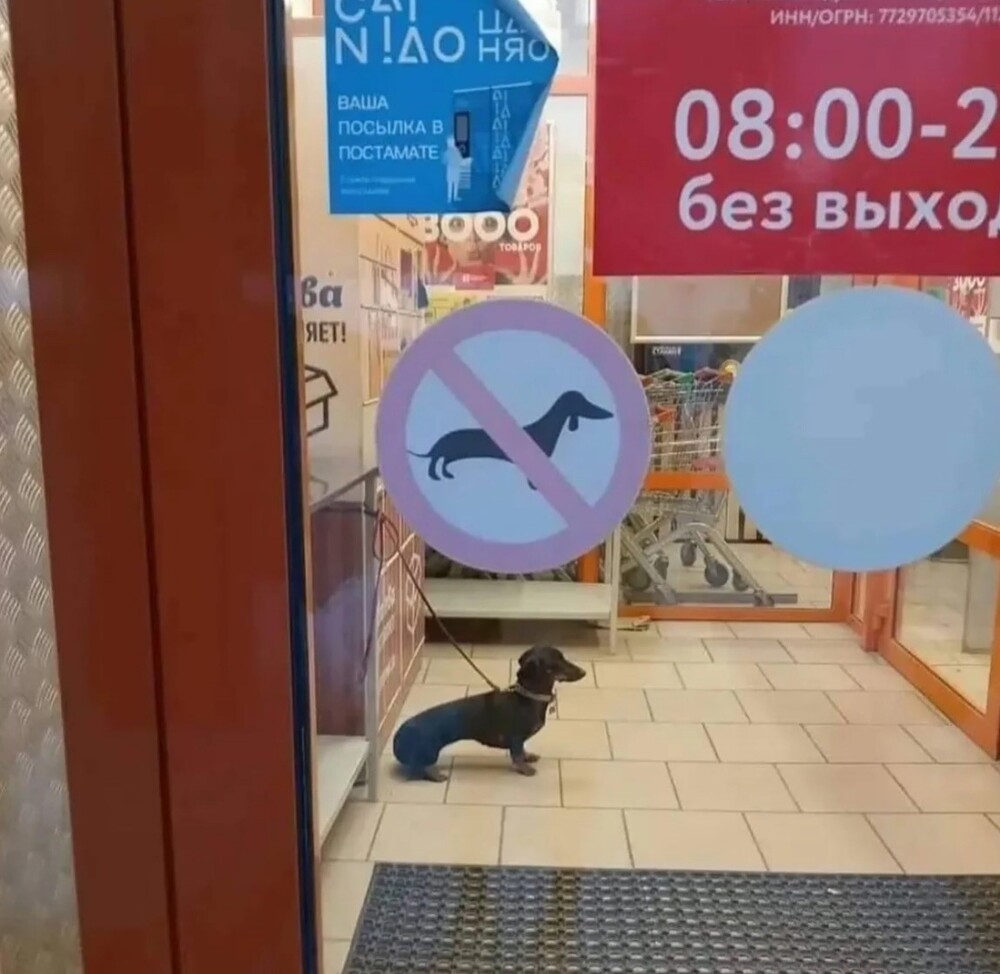 Фото настроение