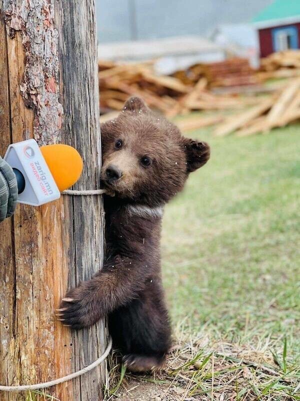 Фото настроение