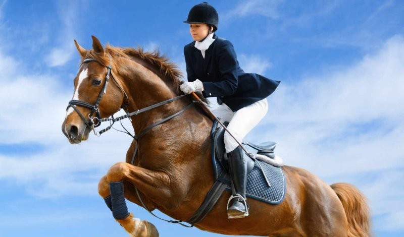 6. Счастливый случай