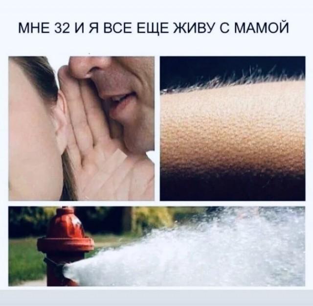 Веселые картинки