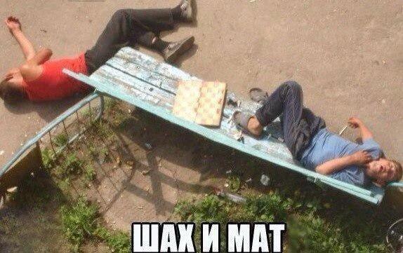 Веселые картинки