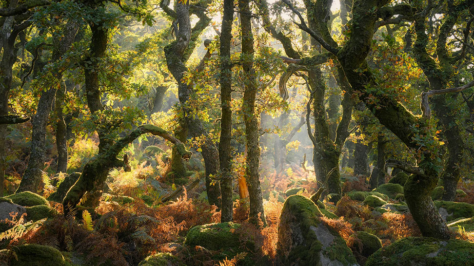 Победители конкурса «Ландшафтная фотография» 2025 года Победители конкурса «Ландшафтная фотография» 2025 года