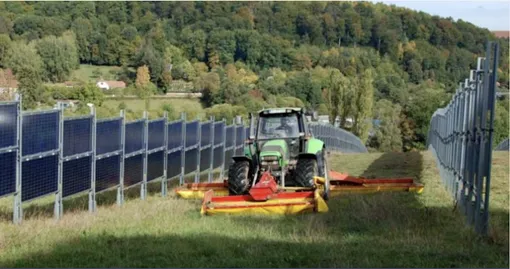 вертикальные солнечные панели в сельском хозяйстве агровольтаика