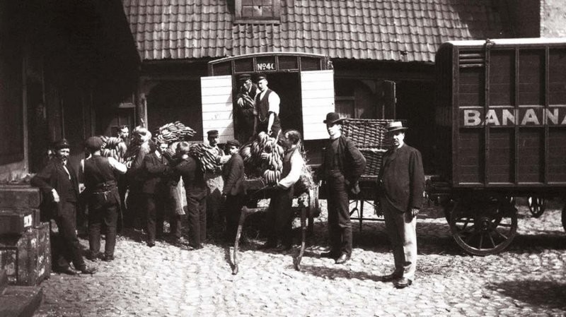 8. Норвегия впервые в истории закупила партию бананов, 1905 год