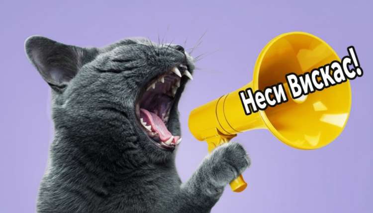 Почему Вискас и другие магазинные корма сводят питомцев с ума — секрет в составе. Разбираемся, почему на Вискас и другие магазинные корма кошки реагируют как сумасшедшие, а полезные и дорогие они есть отказываются. Фото.