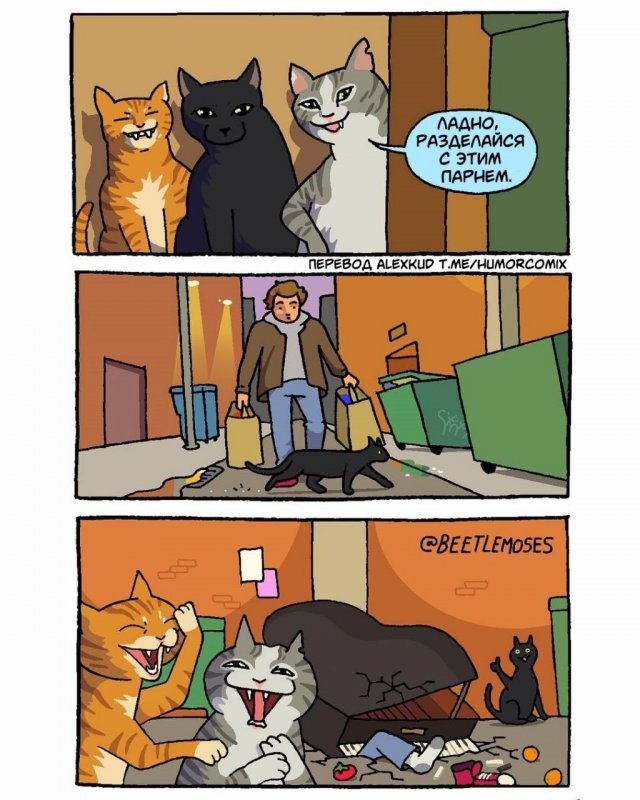 Лучшие шутки и мемы из Сети - 20.10.2025