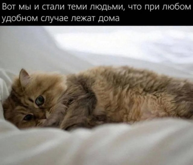 Лучшие шутки и мемы из Сети - 20.10.2025