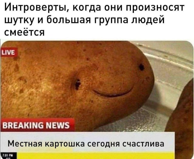 Лучшие шутки и мемы из Сети - 20.10.2025
