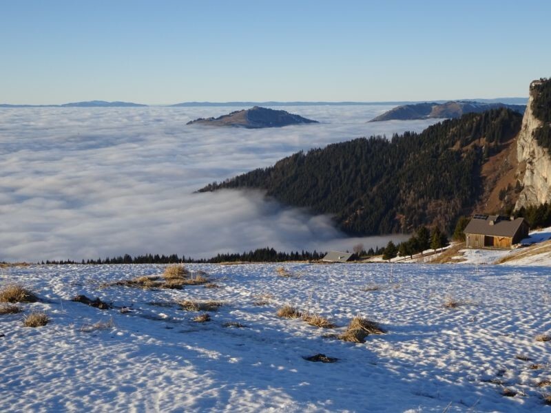 16. В объятиях тумана 16. В объятиях тумана