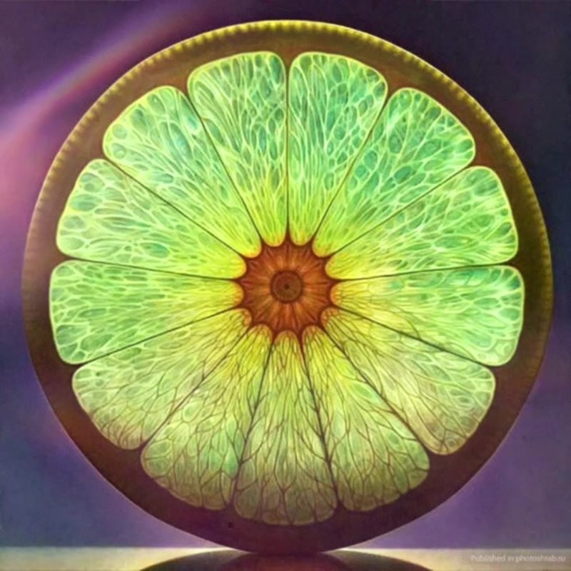 14. Обычный лайм, который выглядит как шедевр 14. Обычный лайм, который выглядит как шедевр