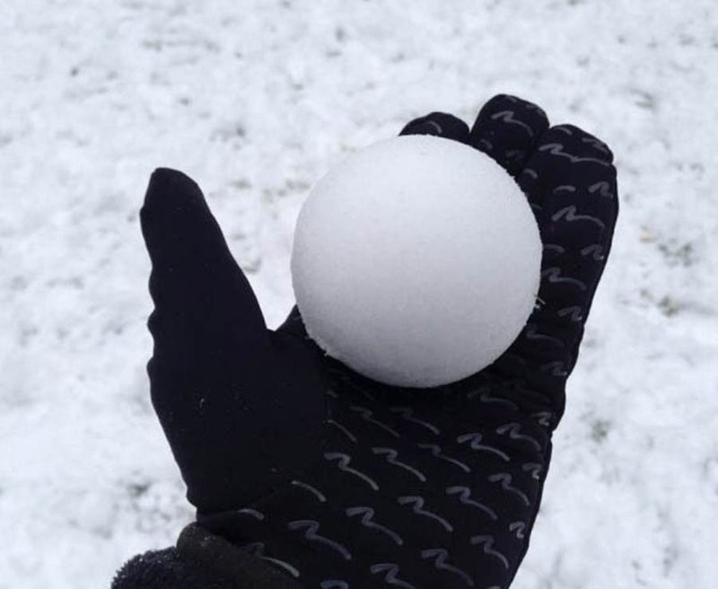 1. У вас поднимется рука бросить это красоту? 1. У вас поднимется рука бросить это красоту?