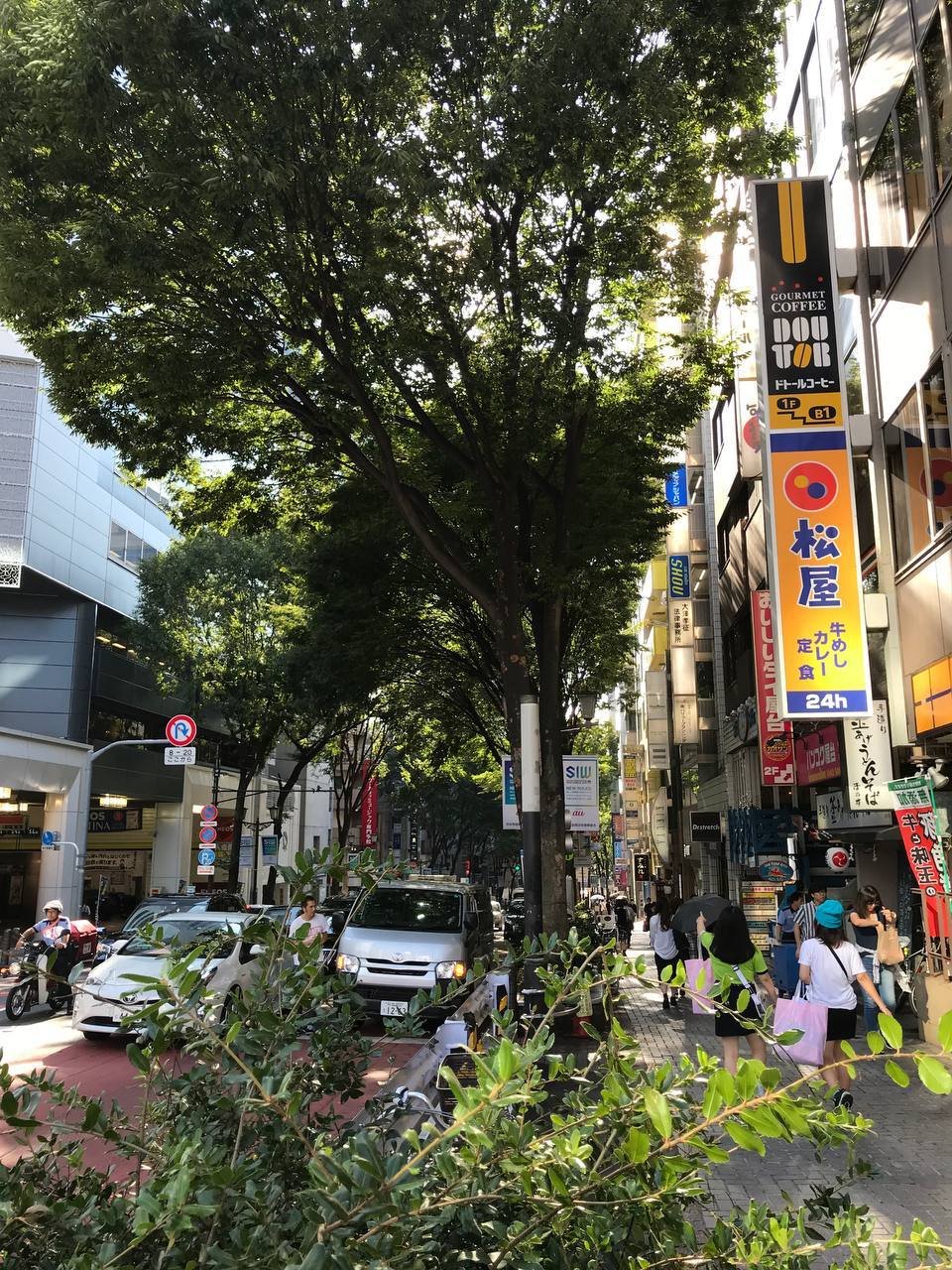 Япония нетуристическая