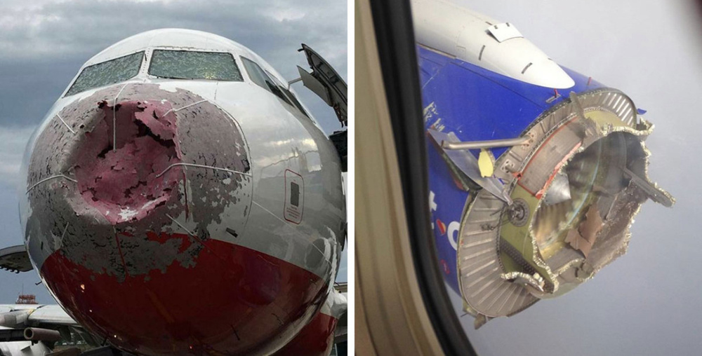 Кадры, сделанные после приземления самолетов: лучше этого не видеть Кадры, сделанные после приземления самолетов: лучше этого не видеть