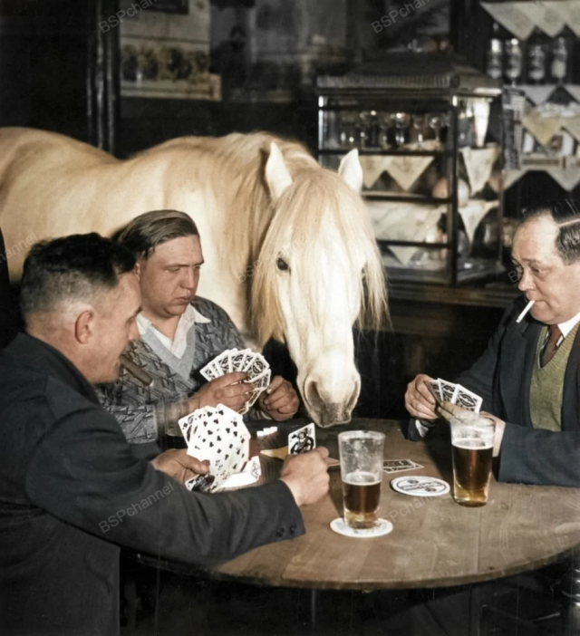 Мужчины в Берлине играют в карты с лошадью, 1932 год.