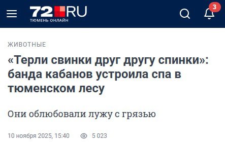 Заголовки федеральных СМИ