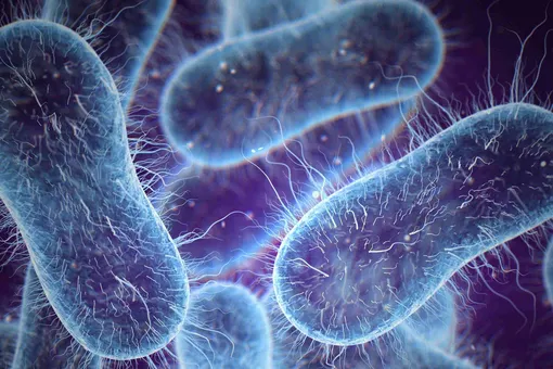 Биологический «цунами»: открыт новый способ, с помощью которого бактерии колонизируют поверхности