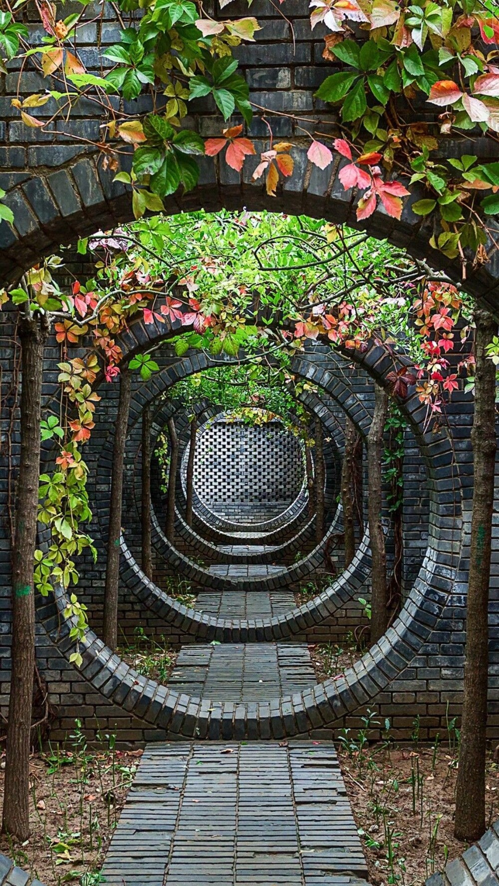 15. Завораживающая красота Японии 15. Завораживающая красота Японии