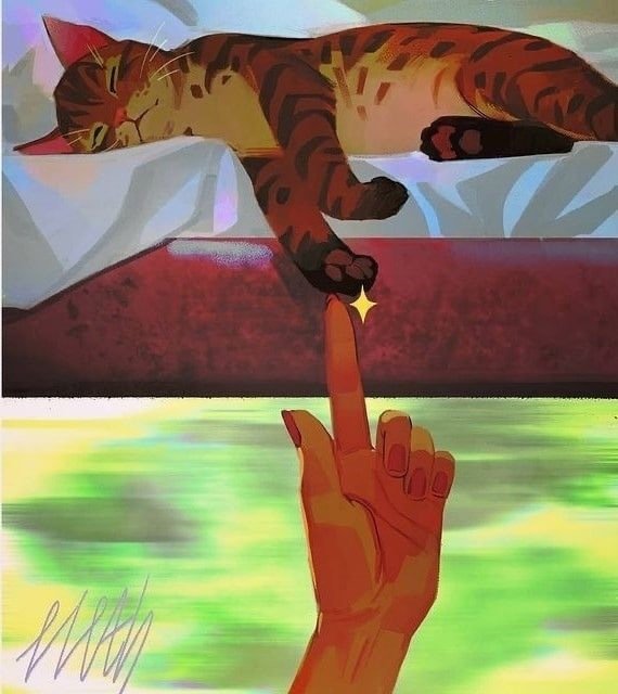 Плацкарт и котики!