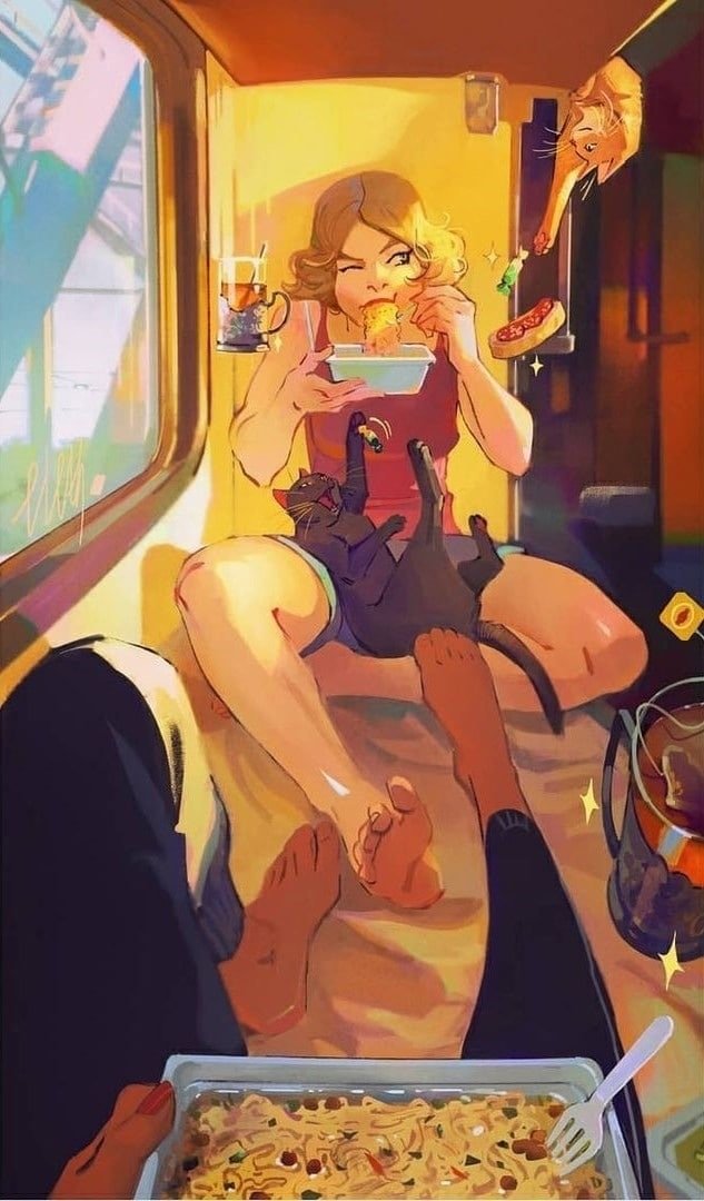 Плацкарт и котики!