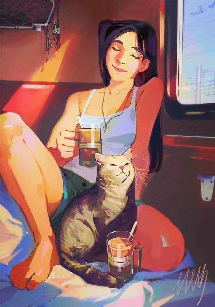 Плацкарт и котики!