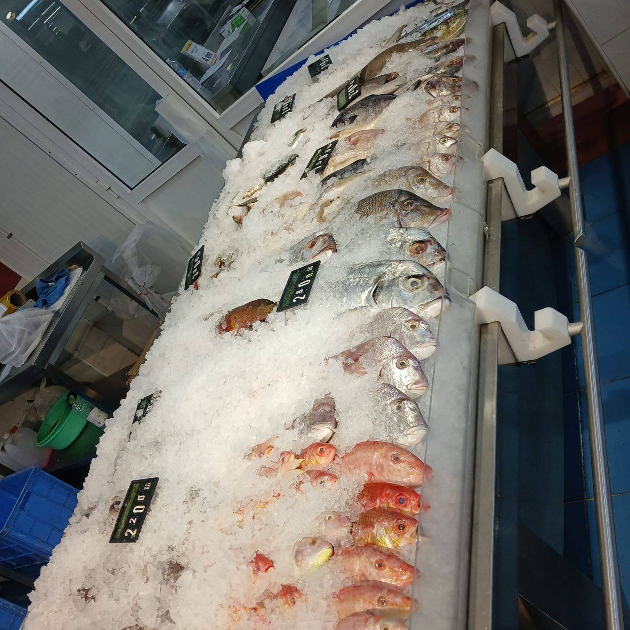 Про жизнь в Омане