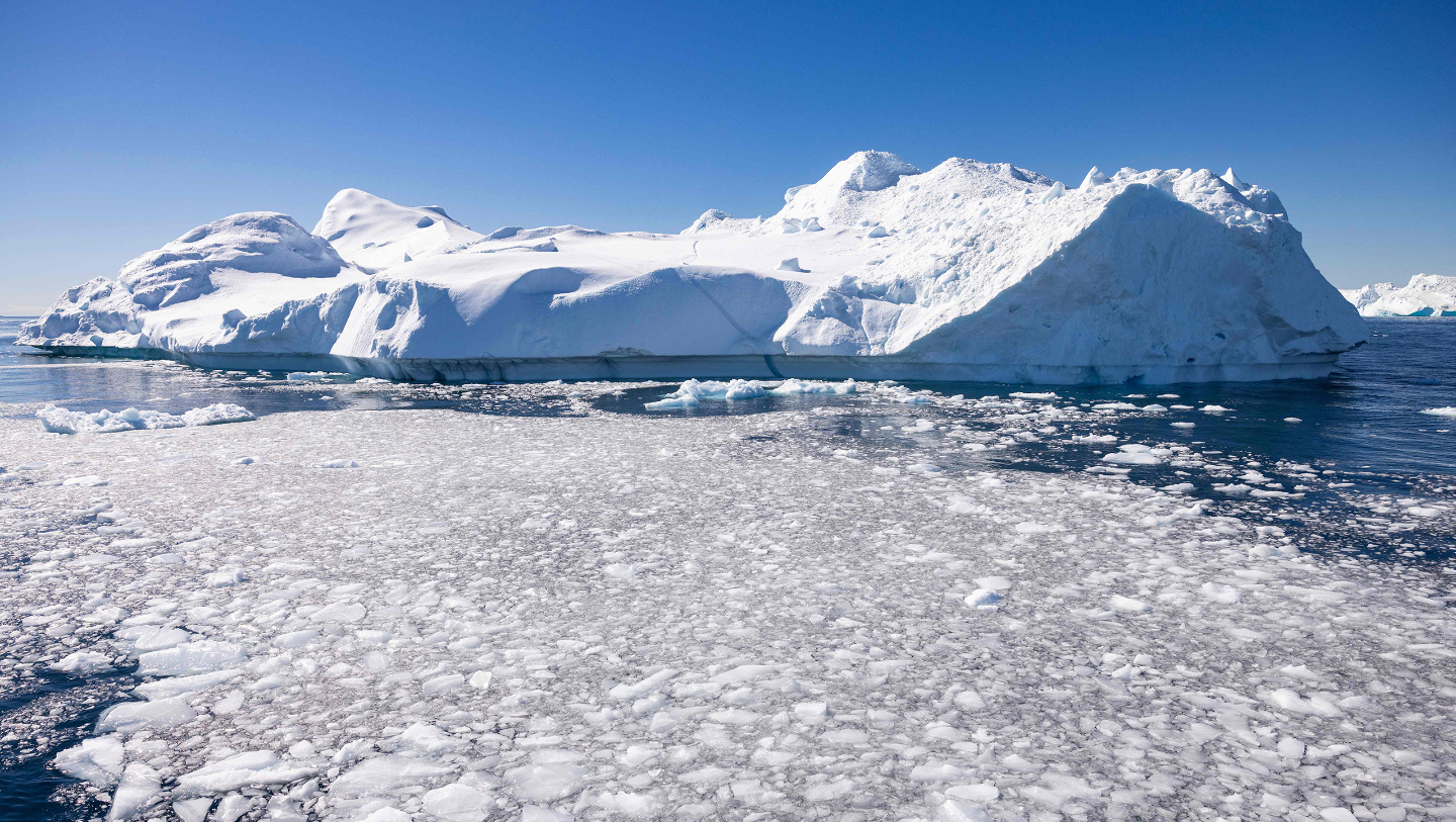 Интересные факты