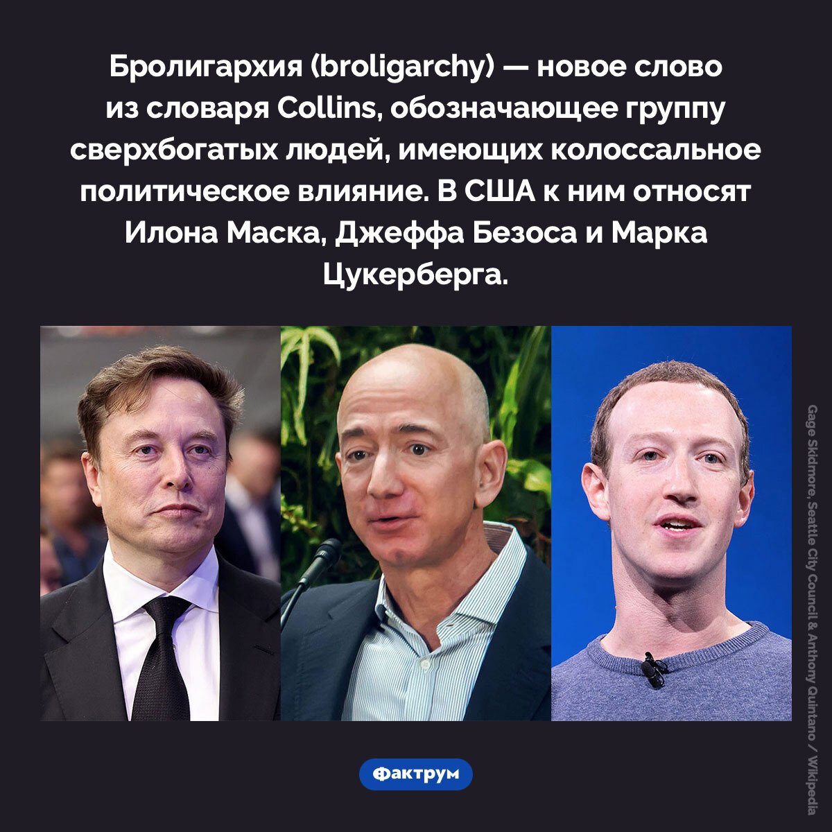 Подборка интересных фактов