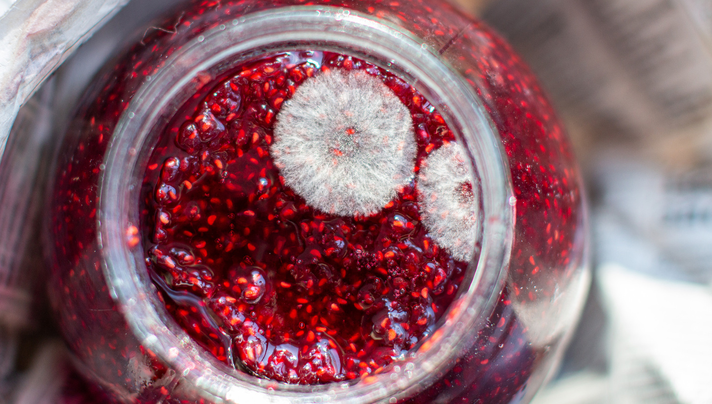 Чем опасна плесень