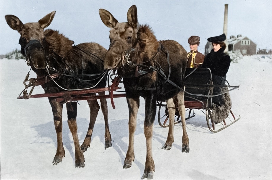 Подборка фотографий из прошлого, которые заставляют удивиться Подборка фотографий из прошлого, которые заставляют удивиться