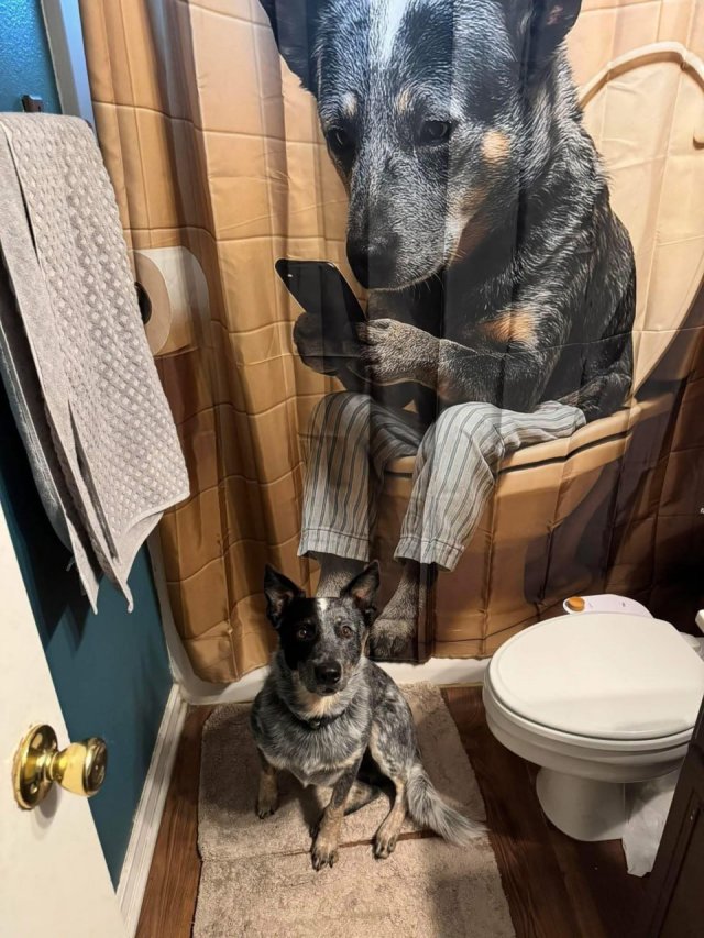 Смешные картинки - 30.01.2026