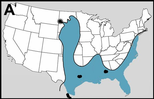 динозавры,астероид,вымирание,катастрофы,Большой пиздец,длиннопост