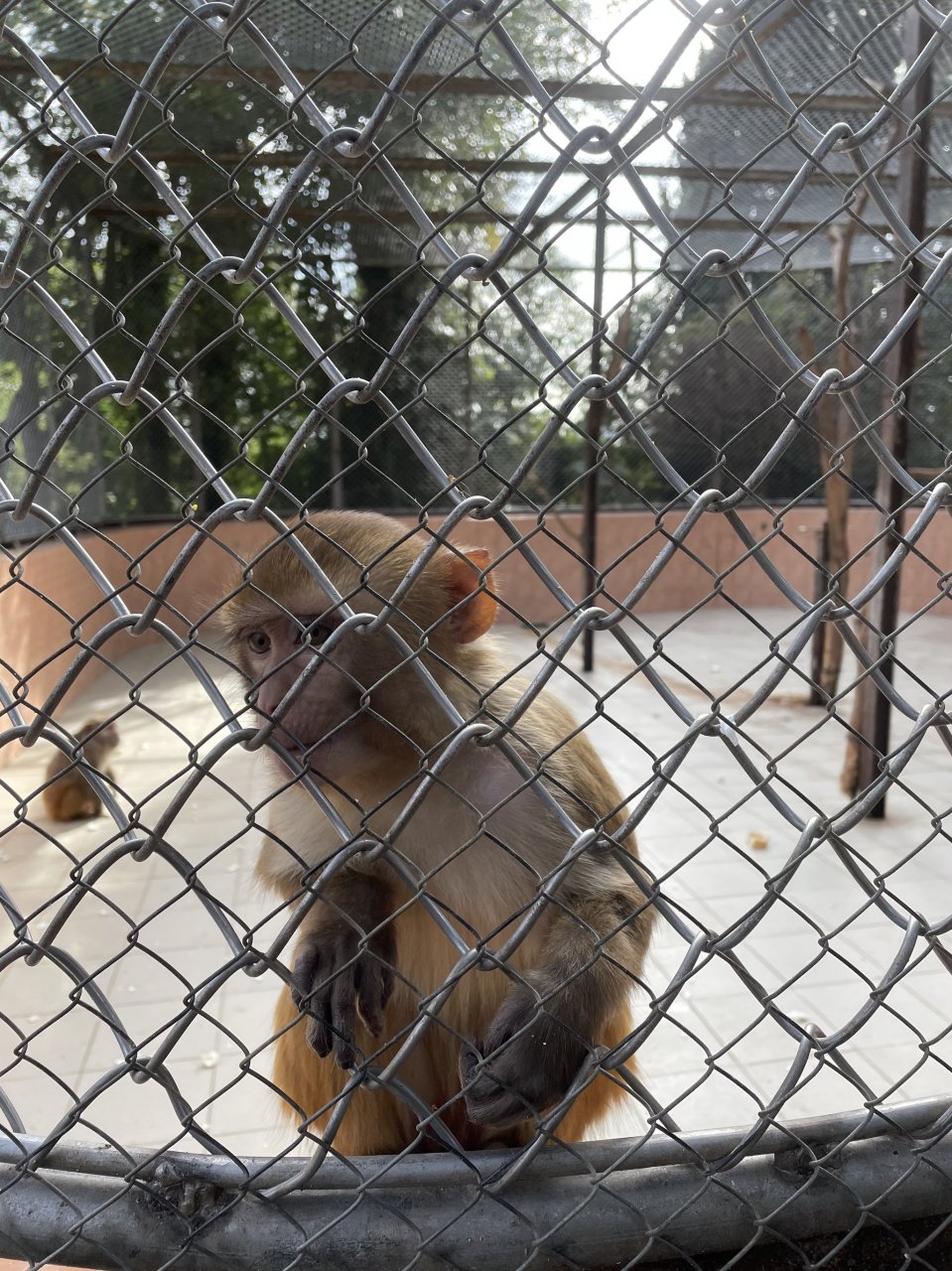 Абхазия - помойка вдоль Чёрного моря⁠